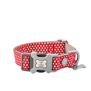 HUGO & HUDSON Nylon Dog Collar with Quick Release Safety Buckle, Red Star, M